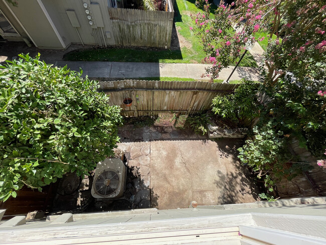 Lemon Tree, Patio garden, from primary bedroom. - 132 Luna Grande Cir