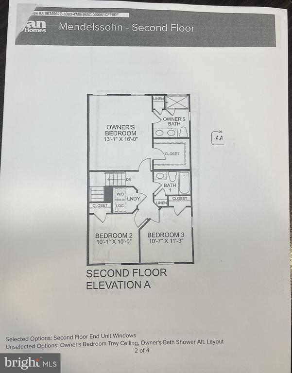 Building Photo - 703 Kalmar Ln