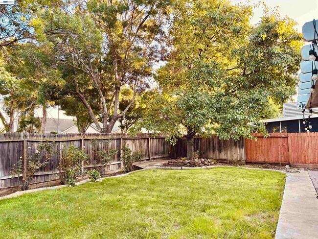 Building Photo - 2126 Shenandoah St