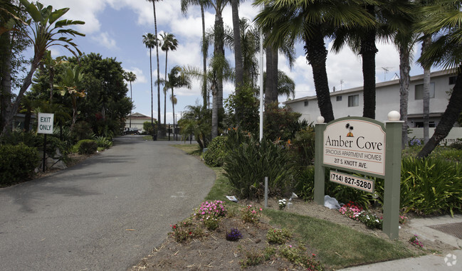 Primary Photo - Amber Cove Apartments
