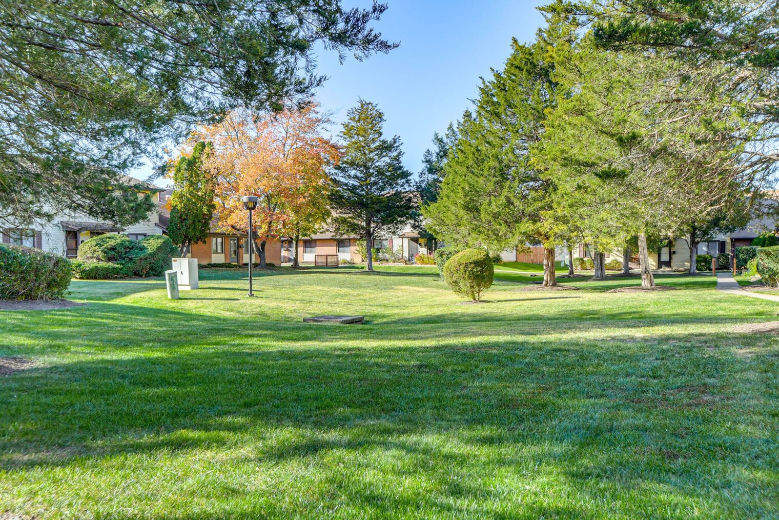 Building Photo - 8406 Mina Loma Ct