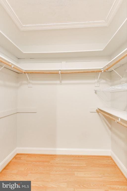 Building Photo - 7806 Fox Gate Ct