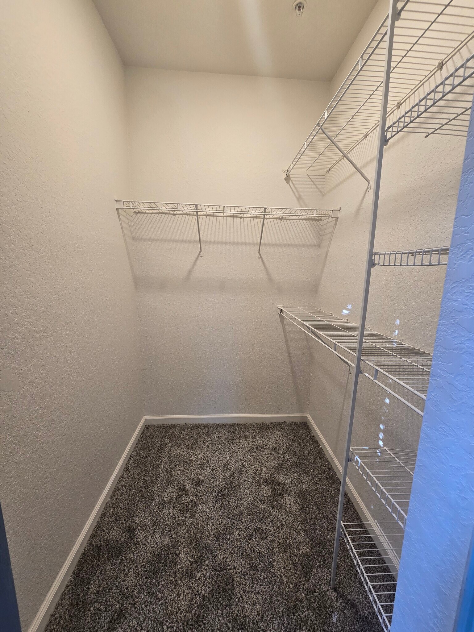 Building Photo - 6137 Metrowest Blvd