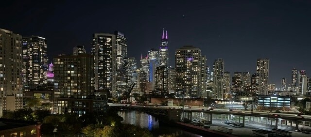 Building Photo - 700 N Larrabee St