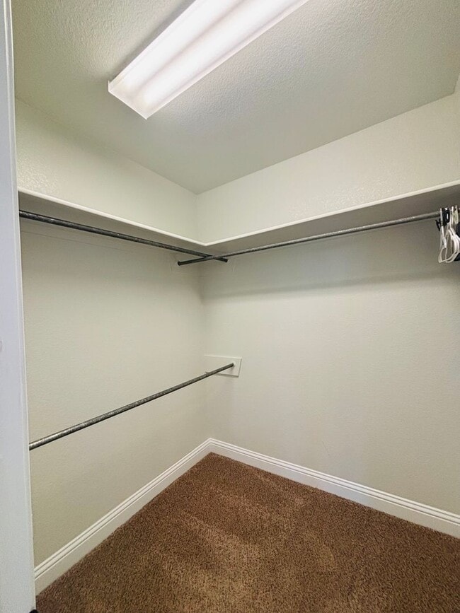 Building Photo - 517 Almond Tree Ln