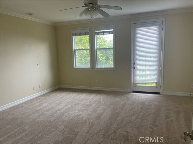 Building Photo - 2100 Canyon Cir