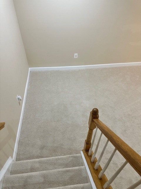 basement - 23312 Brewers Tavern Way