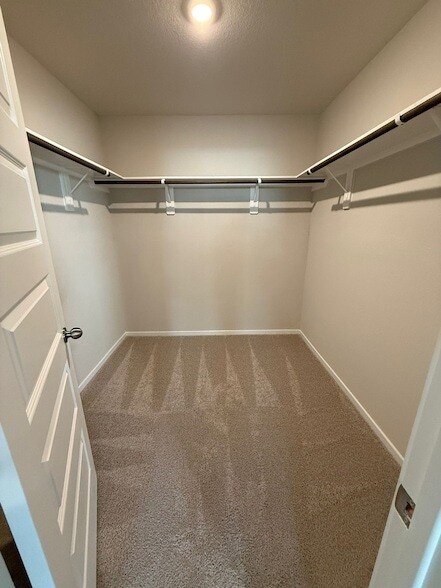 Building Photo - 2027 Summer Night Dr