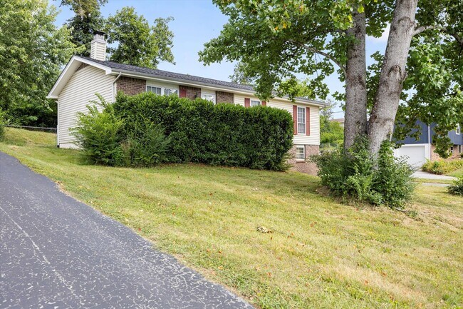 Building Photo - 4015 Shady Oak Dr