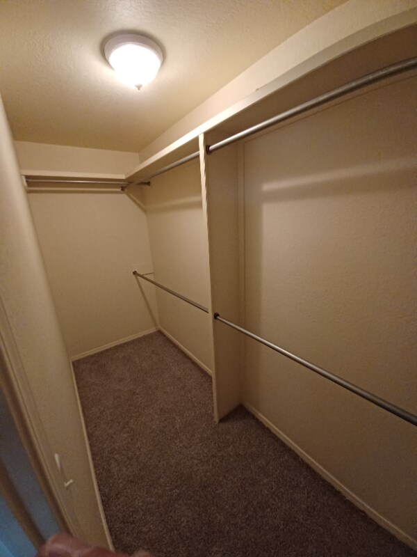 Building Photo - 3526 S Mirror St