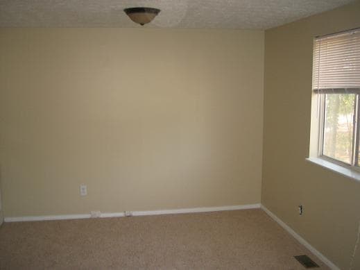 Building Photo - Spacious 3 Bedroom 2 Bathroom Home in Lith...