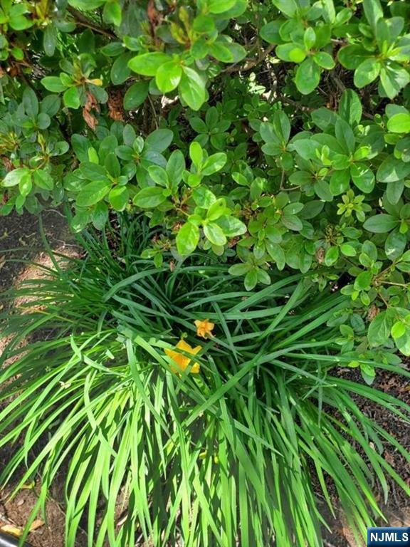 Building Photo - 100 Huguenot Ave