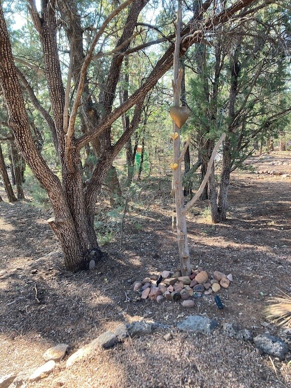 Building Photo - 3239 Pine Needle Dr