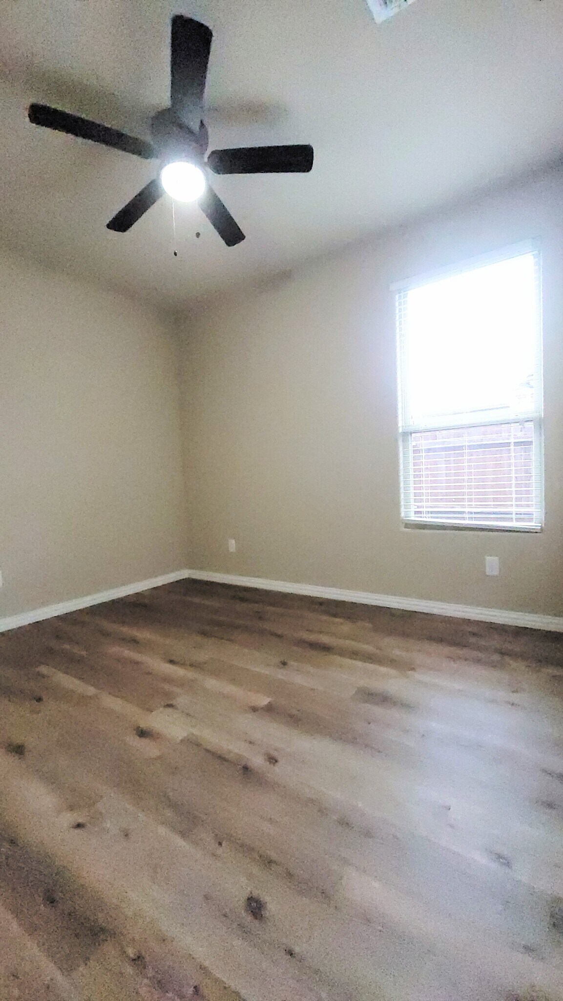 Building Photo - 1716 Jacona Trl