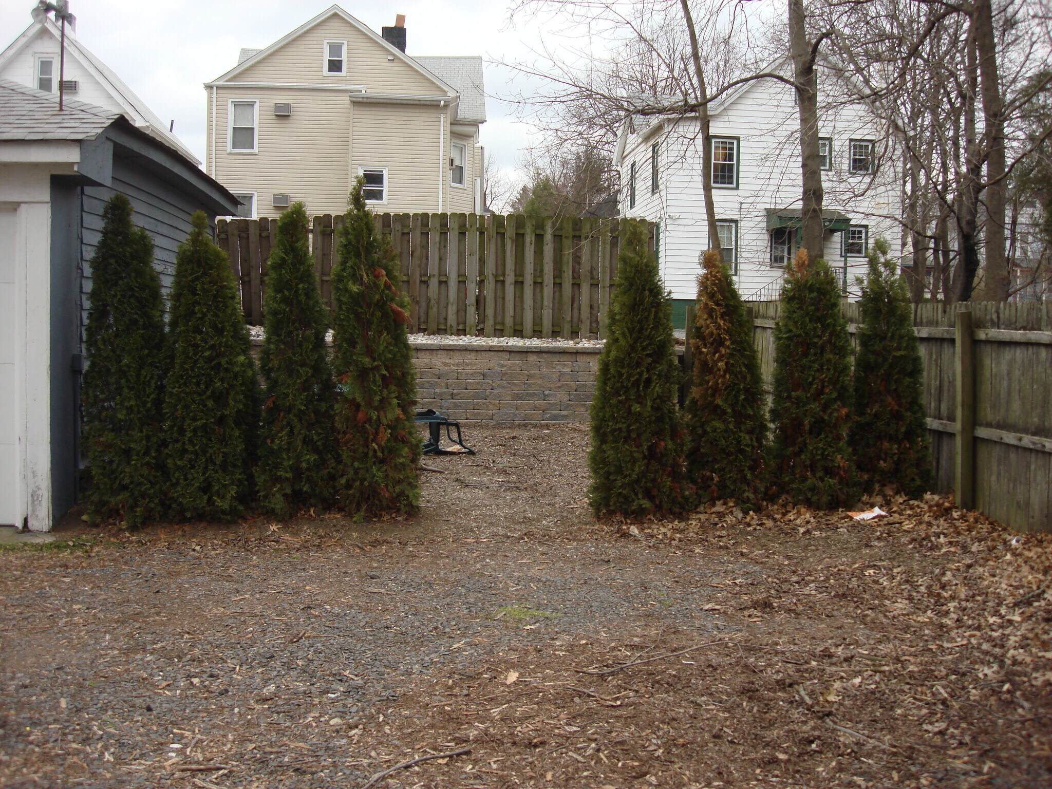 Backyard - 218 Denison St