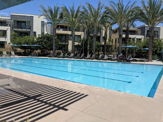 One of many community pools - 2324 Nolita