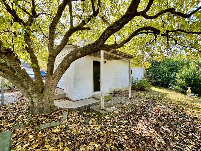 Building Photo - Beautiful Home in Castlewood!!