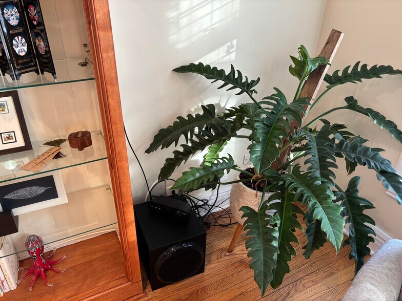 Sound System - 642 W Bittersweet Pl