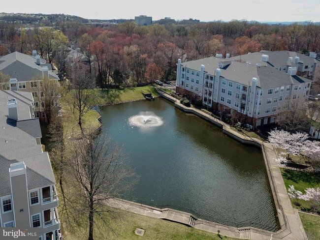 Building Photo - 4210 Mozart Brigade Ln