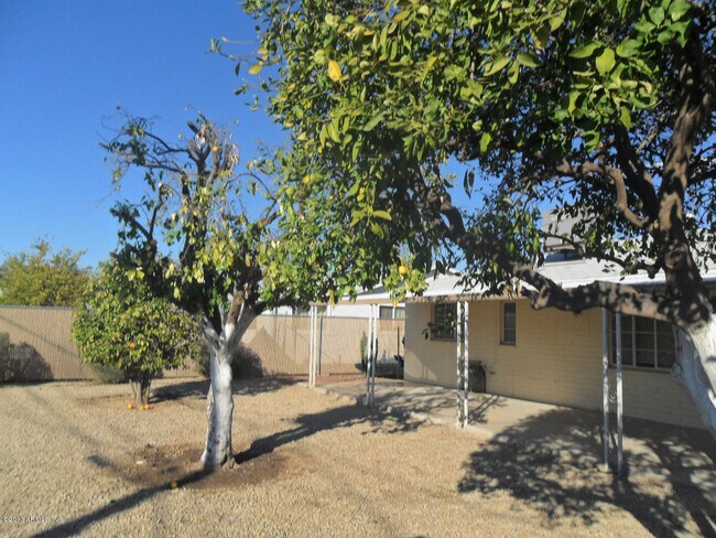 Building Photo - 11356 N 113th Ave