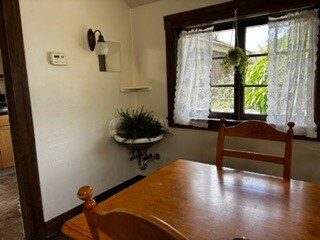 Fully functional sink in dining area, currently home to fake ferns. - 2615 Parker St