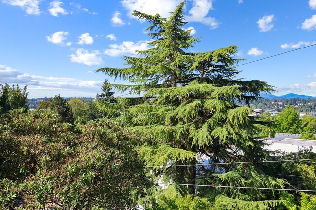 Building Photo - 2720 Sq. Ft. Character Home in downtown Ol...