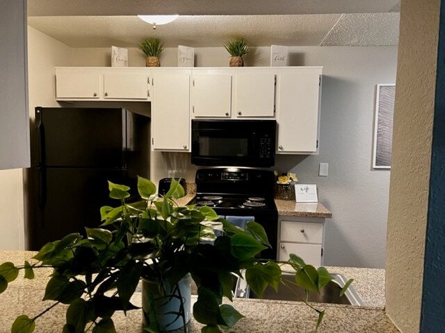 Kitchen - 200 Mission Laguna Ln