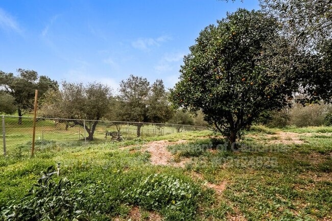 Building Photo - 31306 Stardust Ln