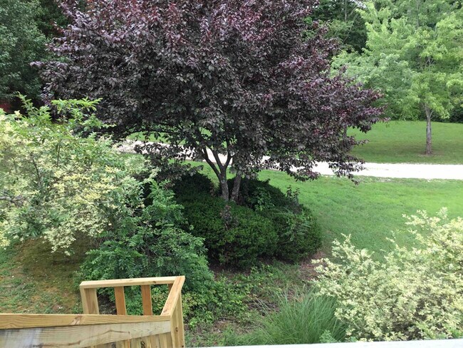 Building Photo - 198 Schools Dr