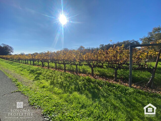 Building Photo - Stunning 4 Bedroom / 2 Bathroom Home Surrounded by Vineyards & Breathtaking Views