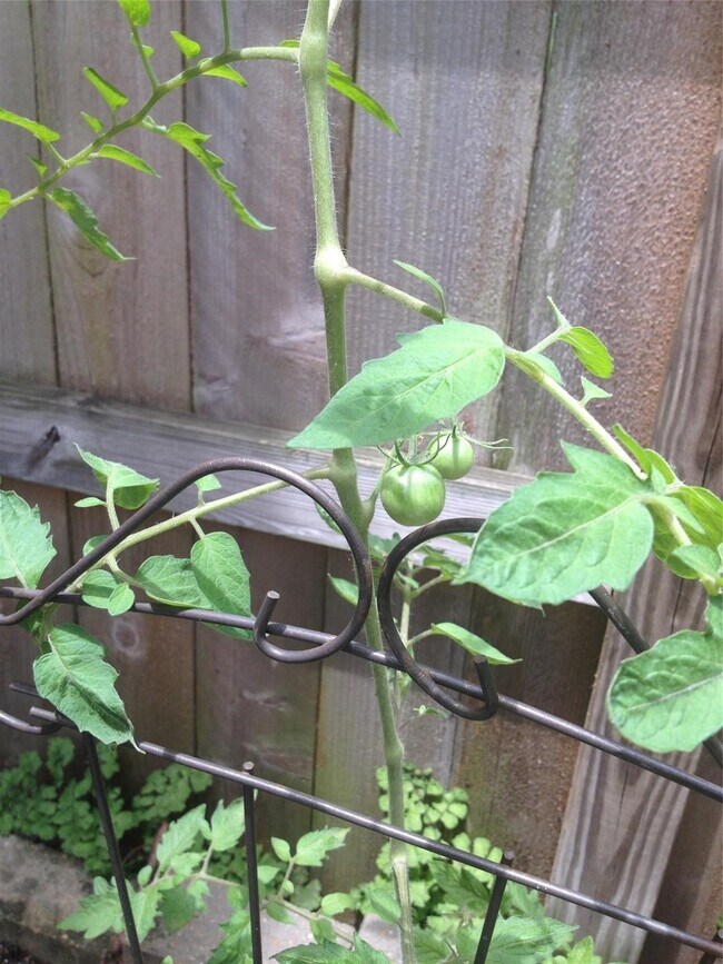 Building Photo - 1601 S Shepherd Dr