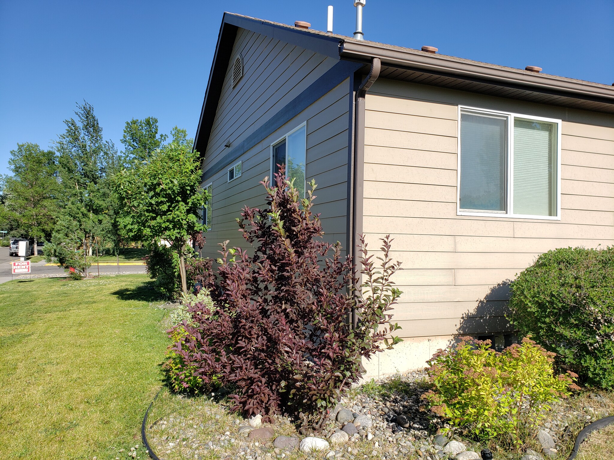 Side Yard - 119 Sanders Ave
