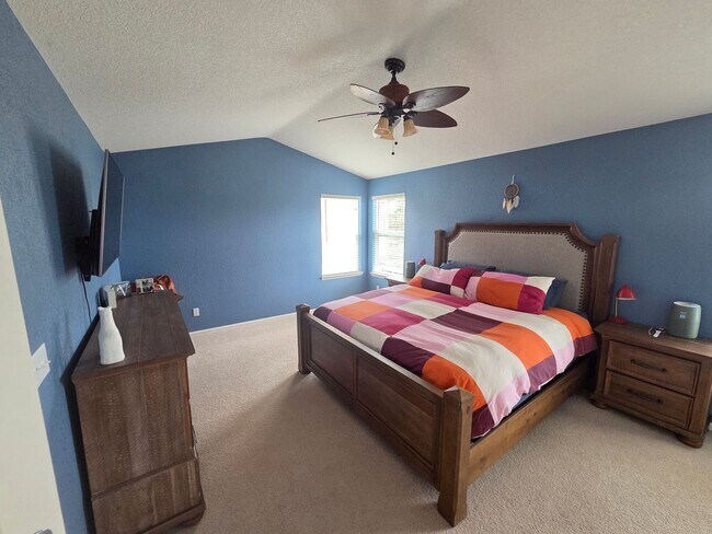 Building Photo - Fantastic Castle Rock 4 Bed 2 1/2 Bath Founders Village Home