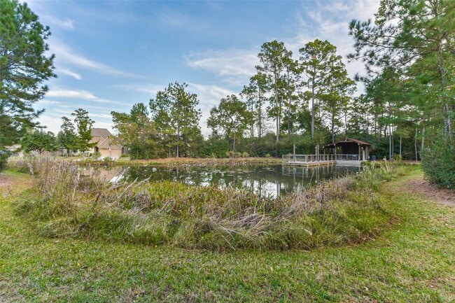 Building Photo - 16815 Lupine Mdw Ln