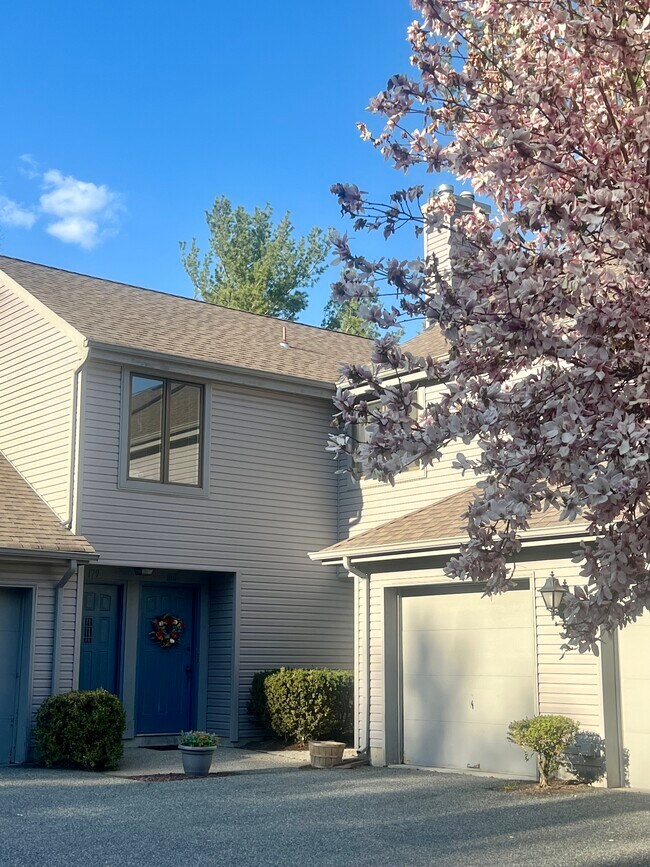 1st & 2nd FL 1 Beds - 140 Dickinson Ln