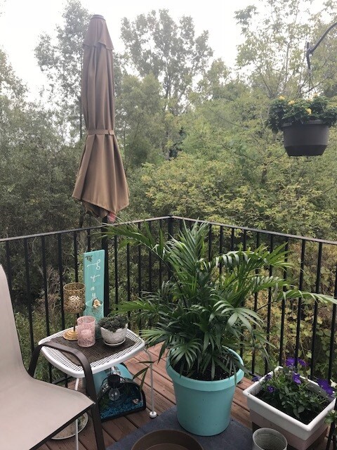 Building Photo - 2149 Knotty Pine Trail