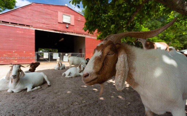 Building Photo - 895 W 79th Pl