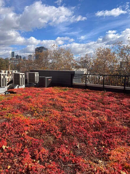 Building Photo - 329 Pacific Ave