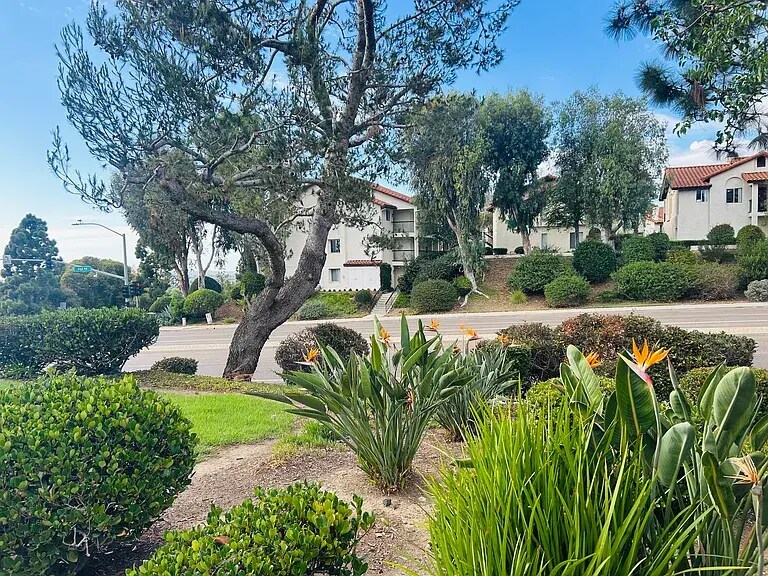 Outside area - 6971 Ballena Way