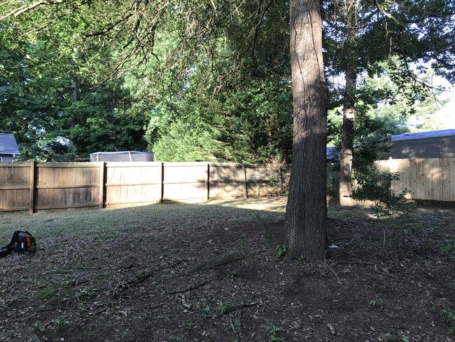 Backyard - 4448 Huntington Dr