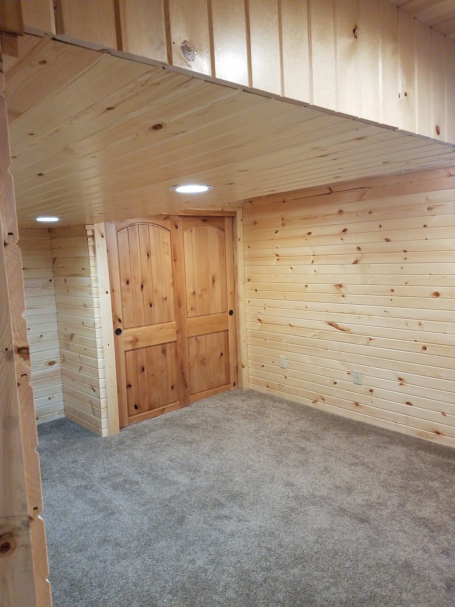 Lower Cedar Bedroom/Office with can lighting and add'l electric heat option - 409 Hill N Dale Cir