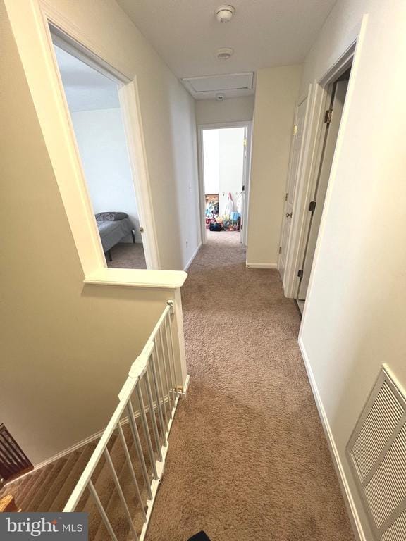 Building Photo - 2405 Gifhorn Ct