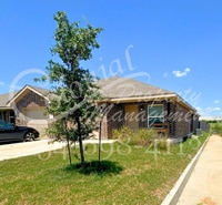 Building Photo - AVAILABLE NOW!