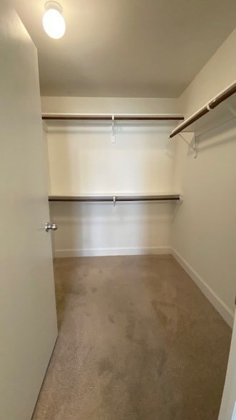 Building Photo - 11604 Main Cypress Dr