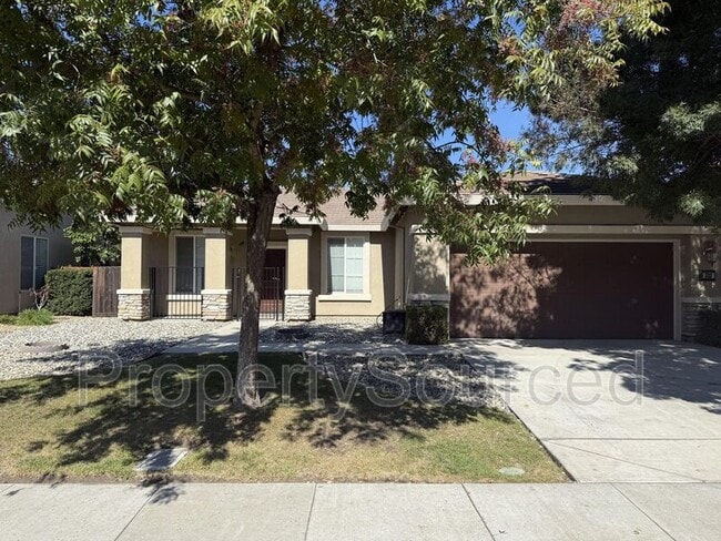 Building Photo - 333 Catmint St