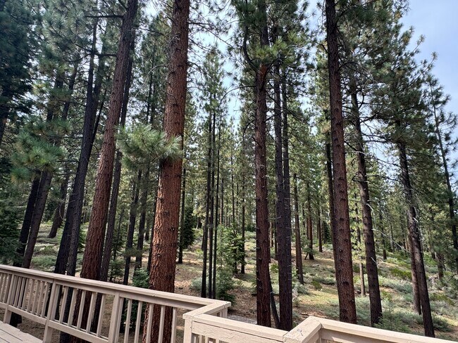 Building Photo - 1103 Sundown Trail