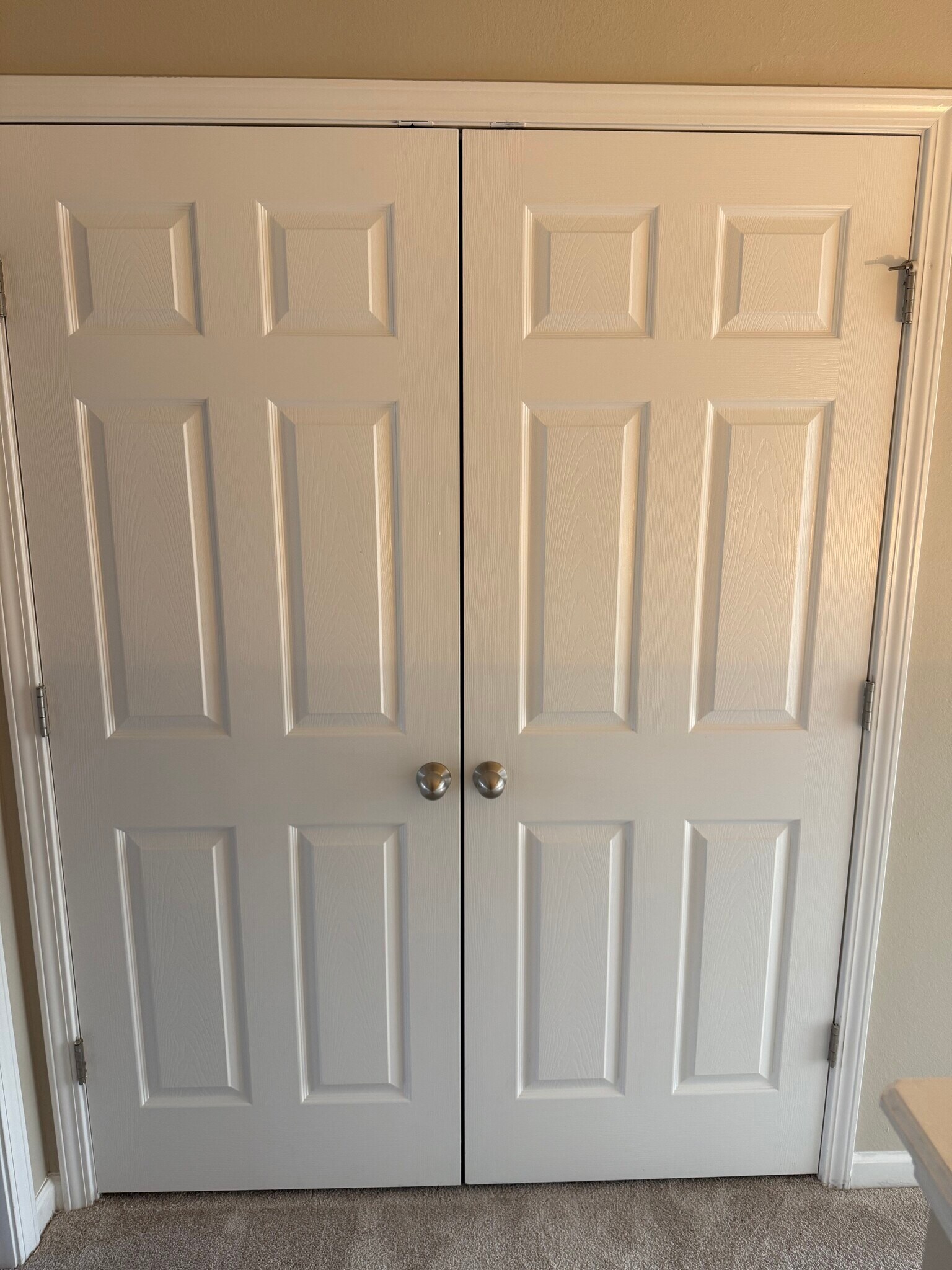 Building Photo - 2028 Shaylin Loop