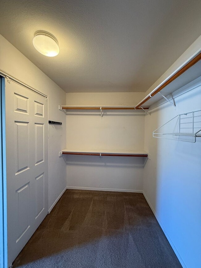Building Photo - Spacious Single Story 4 Bedroom, 2 Bathroo...
