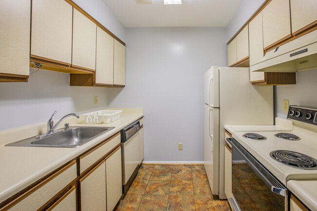 Building Photo - Charming 1 BR/1 BA Condo in Columbia!