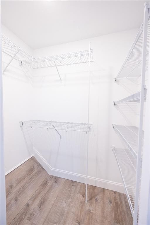 Building Photo - 6 Mainella St